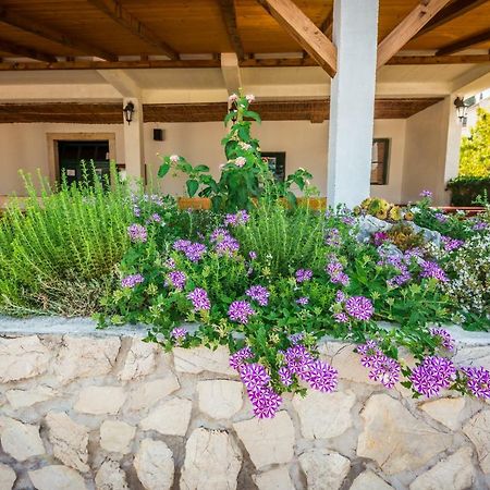 Apartments Galeb بلاتشي المظهر الخارجي الصورة