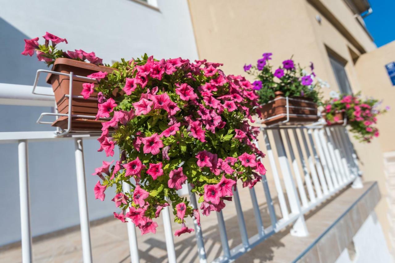 Apartments Galeb بلاتشي المظهر الخارجي الصورة